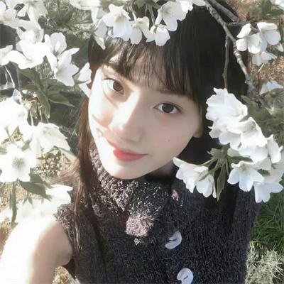 园长夫人：动物园的奇迹