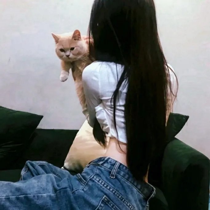 人妖打排球2